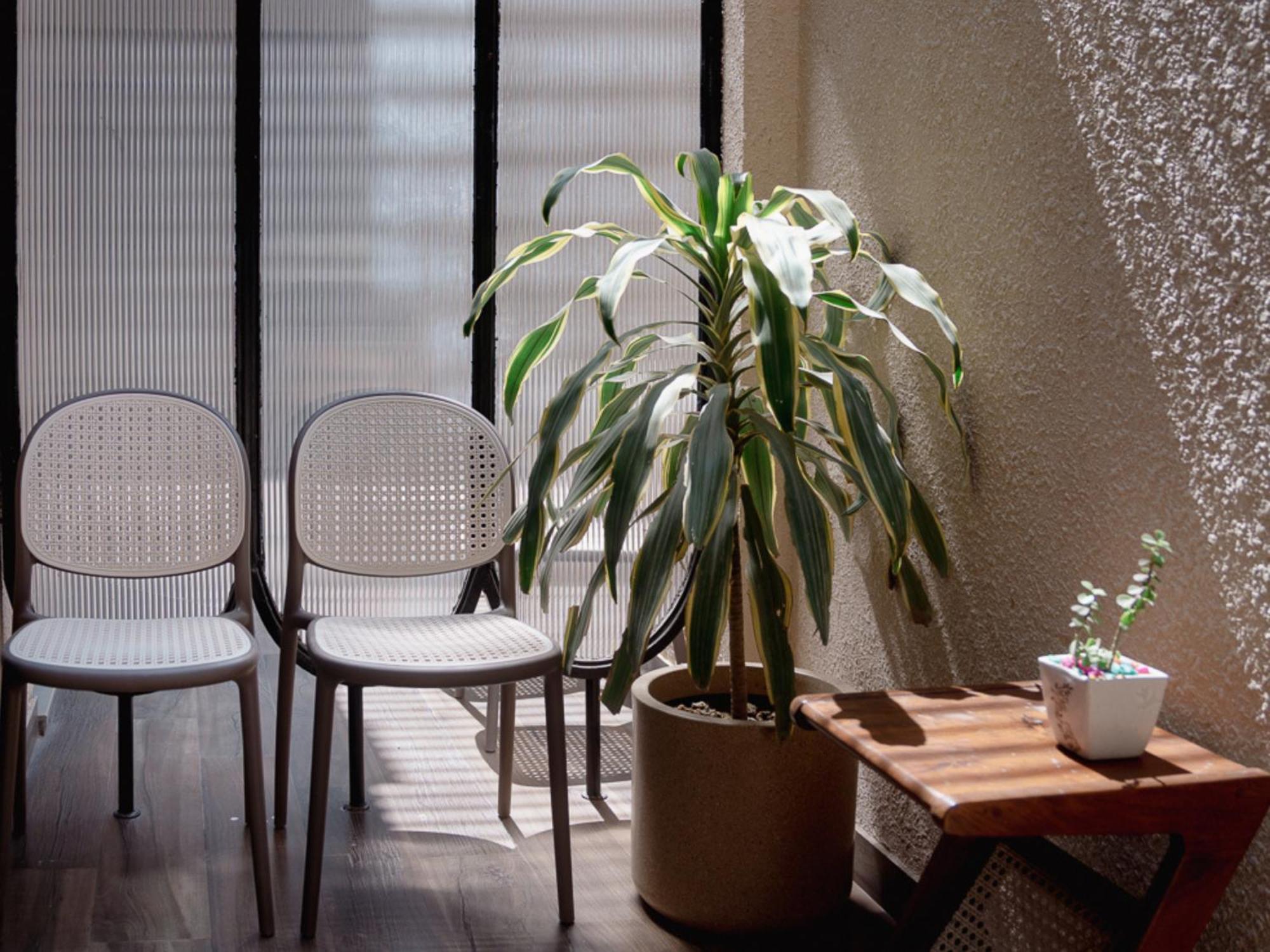Kaas By Safarnama - Boutique Hotel — Photos 2